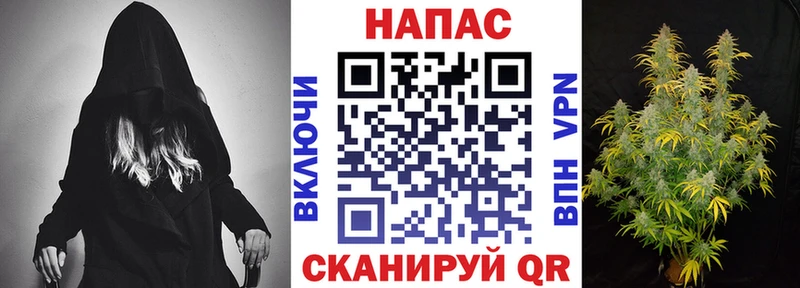 Бошки Шишки план Энгельс